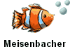  Meisenbacher 